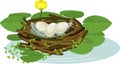 Cartoon bird nest with eggs and yellow water-lily plants Royalty Free Stock Photo